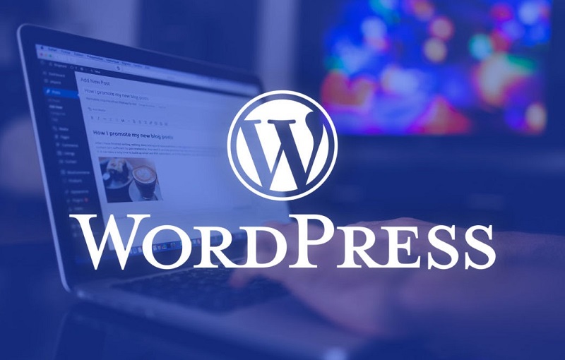 WordPress vẫn là nền tảng website phổ biến nhất